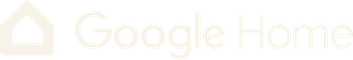 Google Home